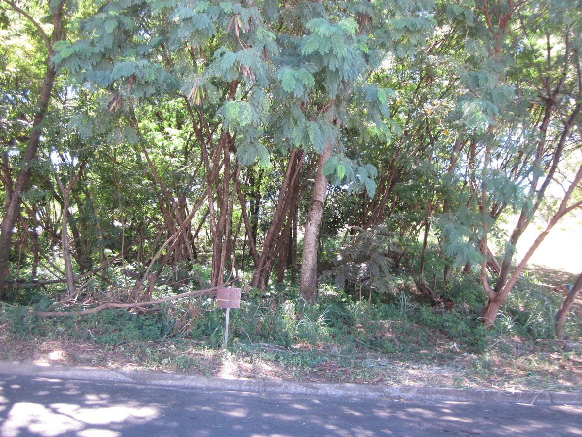 Hostel Famille Brun Trevo São João da Boa Vista Eksteriør billede